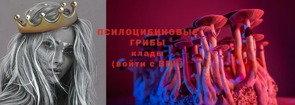 гашик Богданович
