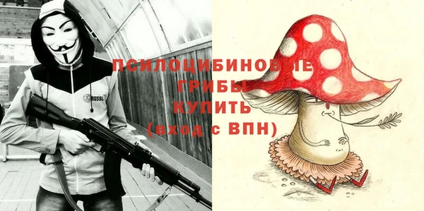 гашик Богданович