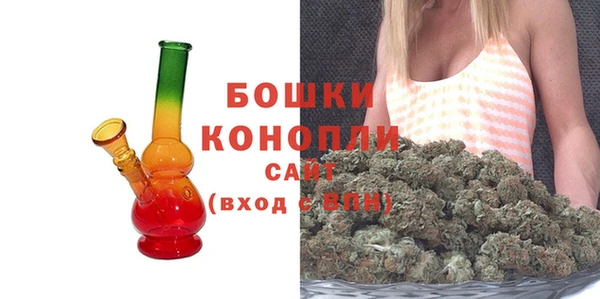 гашик Богданович